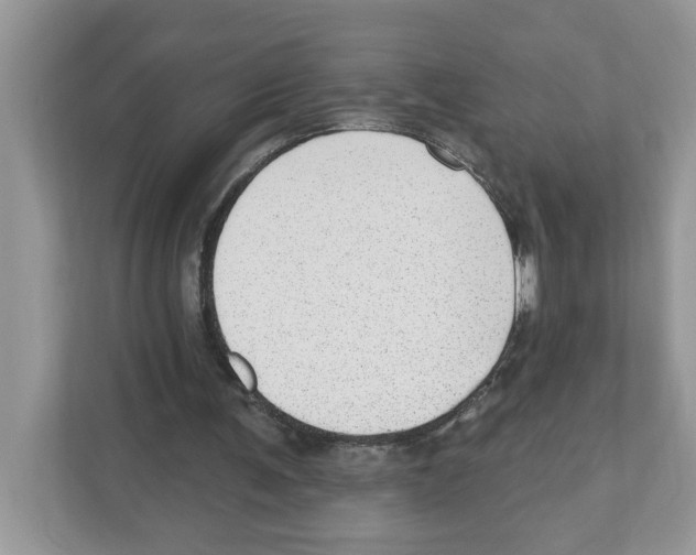 X0000111040291200907231541