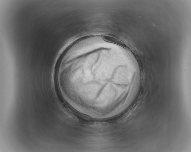 X0000111040292200907231541