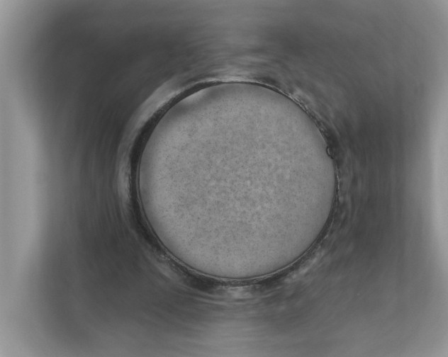 X0000111040295200907231541