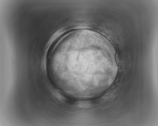 X0000111040296200907231541