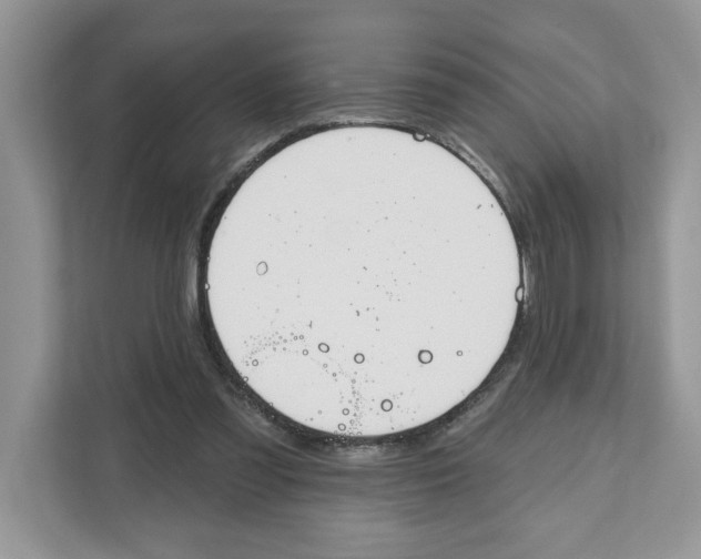 X0000111040301200907231541