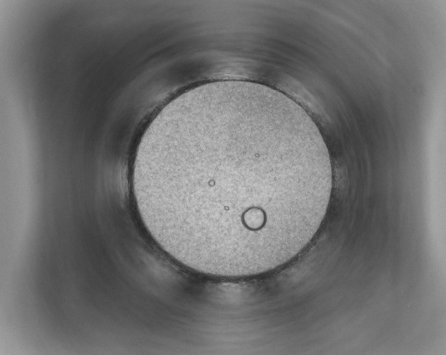 X0000111040302200907231541