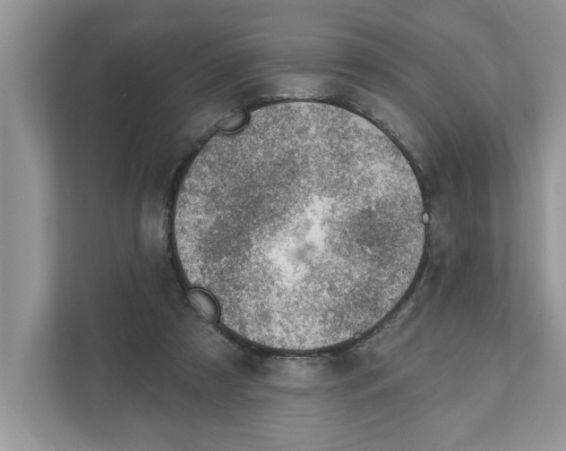 X0000111040305200907231541