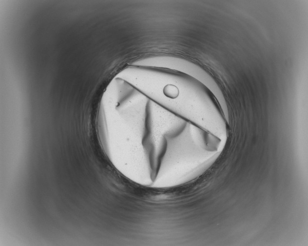 X0000111040312200907231541