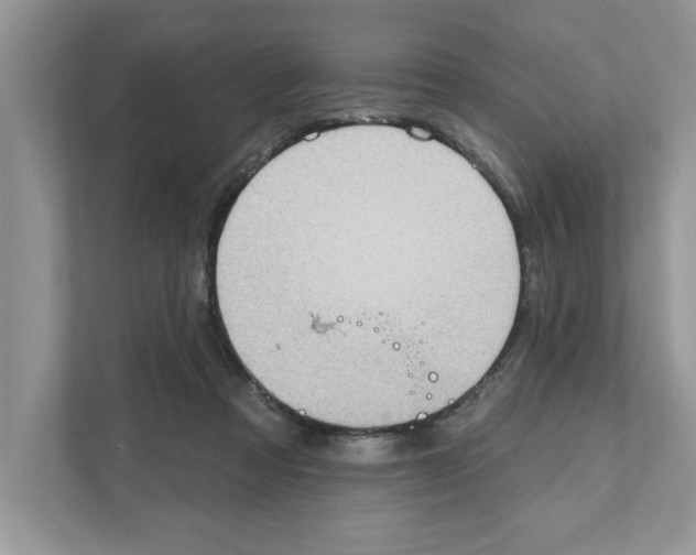 X0000111040313200907231541