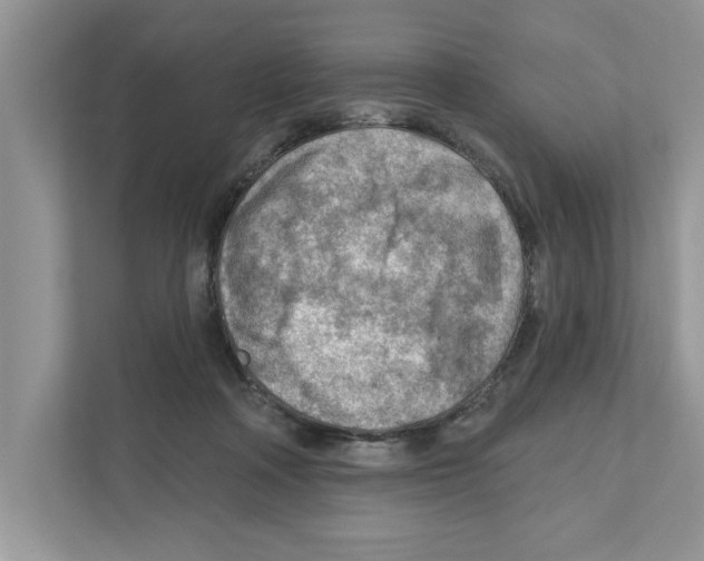 X0000111040314200907231541