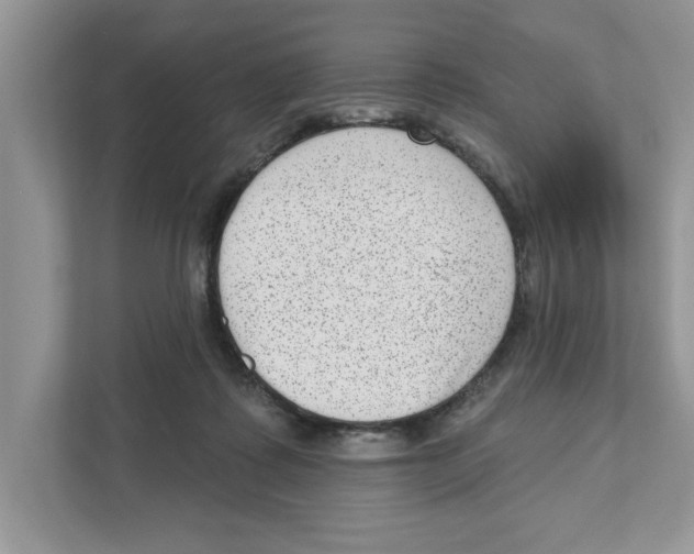 X0000111040315200907231541