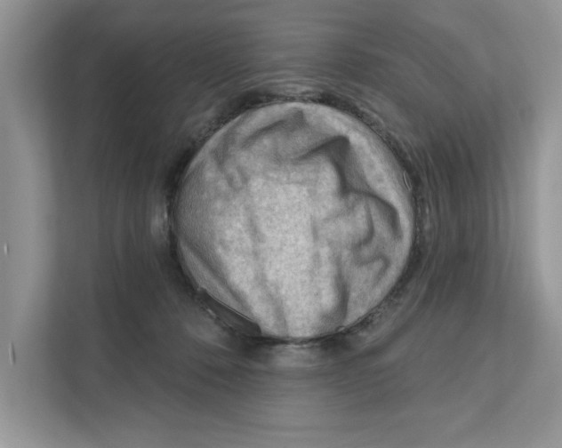 X0000111040320200907231541