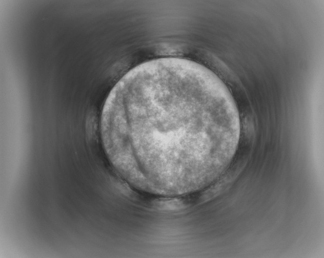 X0000111040322200907231541