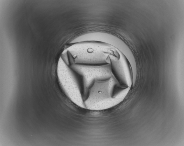 X0000111040325200907231541