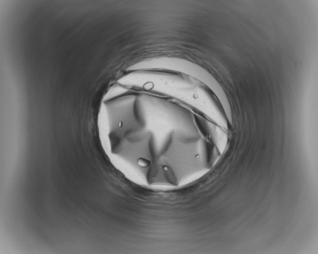 X0000111040328200907231541