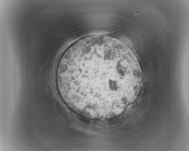 X0000111040337200907231540