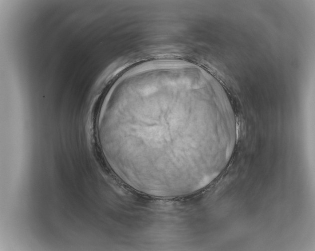 X0000111040339200907231540