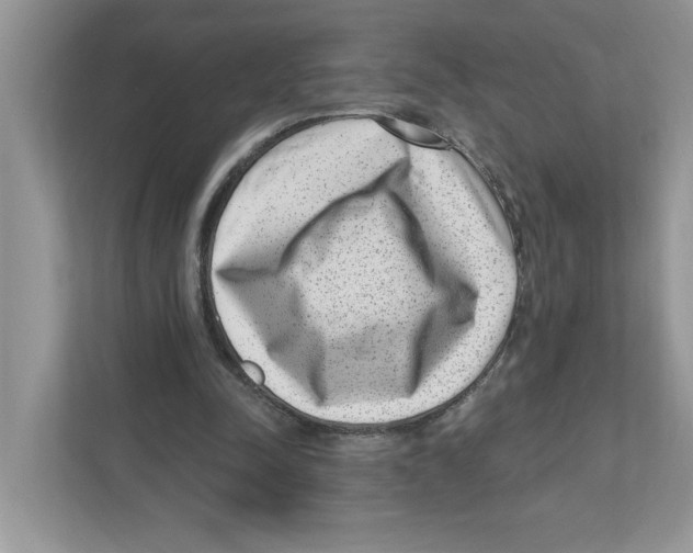 X0000111040342200907231540