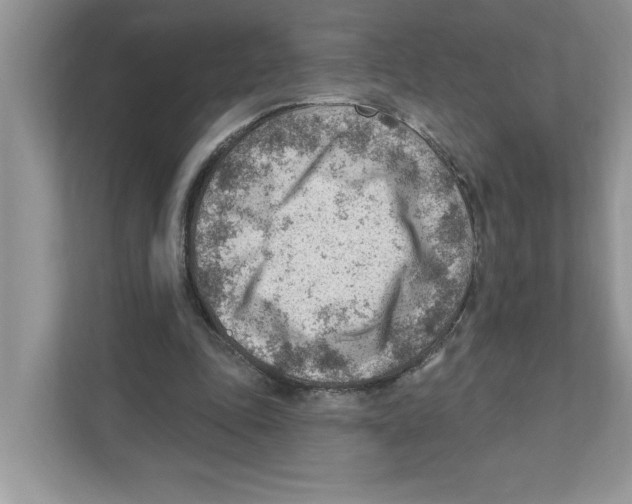 X0000111040343200907231540