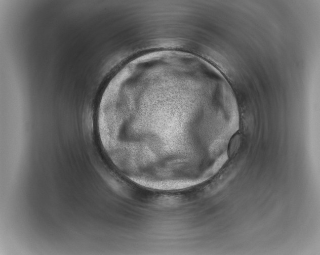 X0000111040350200907231540