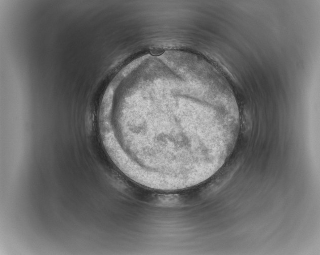 X0000111040355200907231540