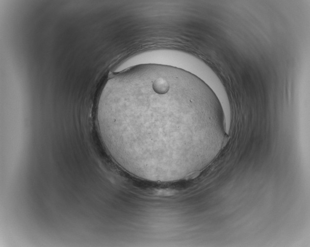 X0000111040360200907231540