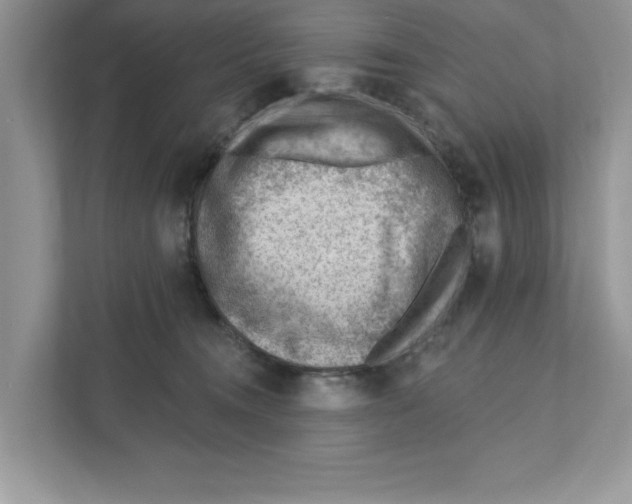 X0000111040372200907231540