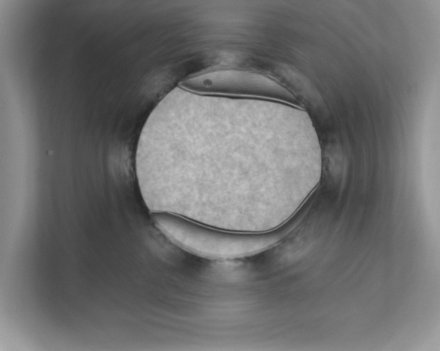 X0000111040380200907231540