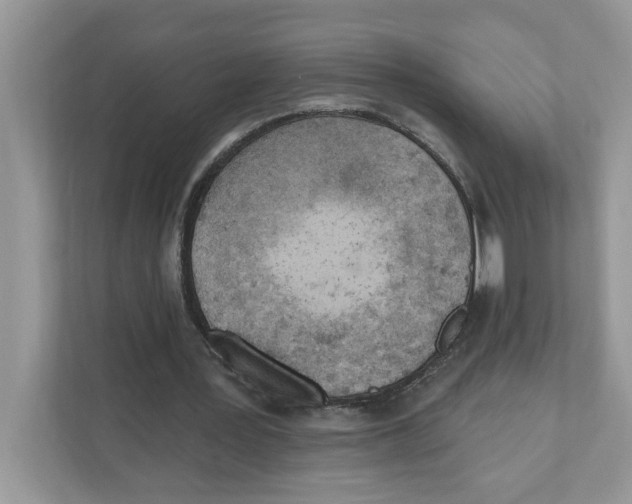 X0000111040387200907231540