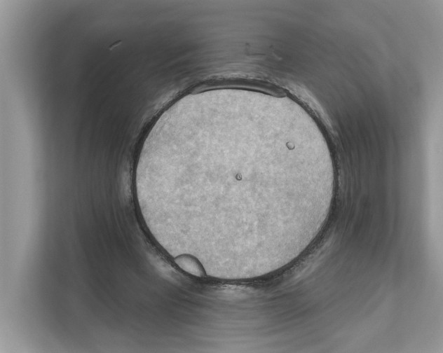 X0000111040393200907231540