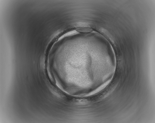 X0000111040395200907231540