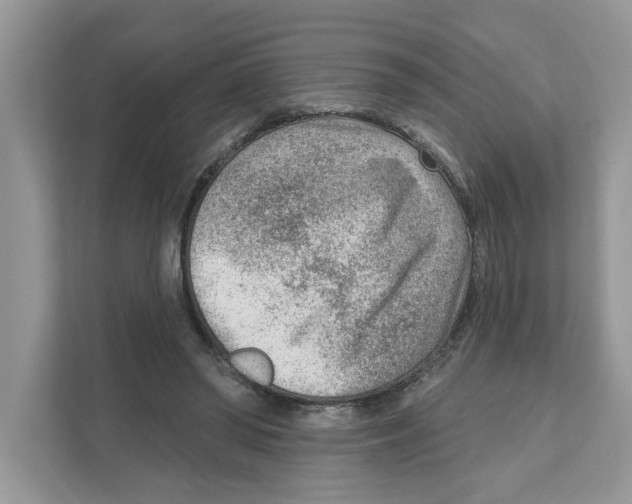 X0000111040398200907231540