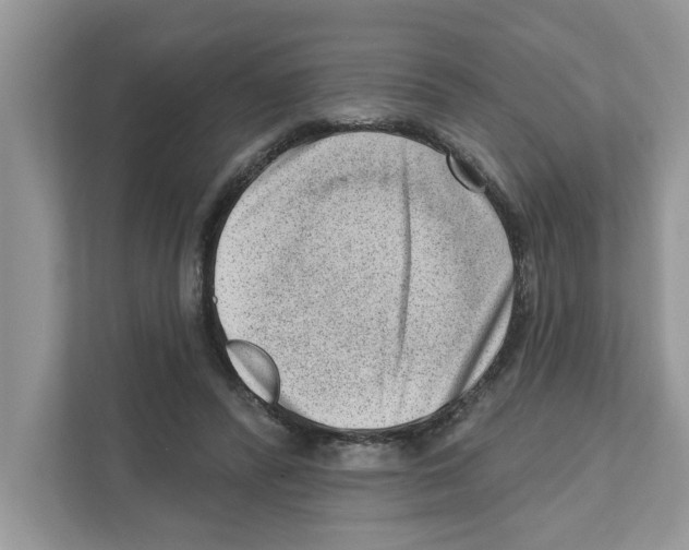 X0000111040400200907231540