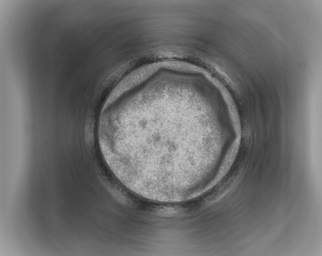 X0000111040402200907231540