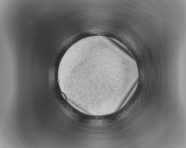 X0000111040404200907231540