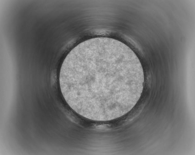 X0000111040407200907231540