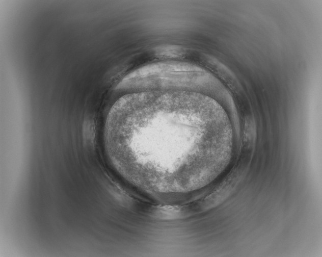 X0000111040409200907231539