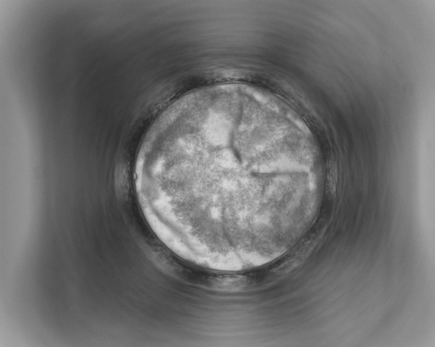 X0000111040410200907231539