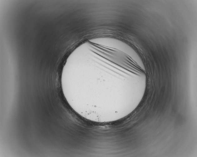 X0000111040411200907231539