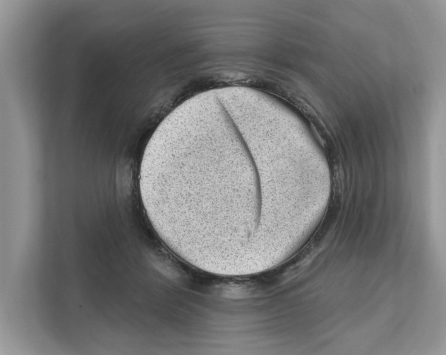 X0000111040412200907231539