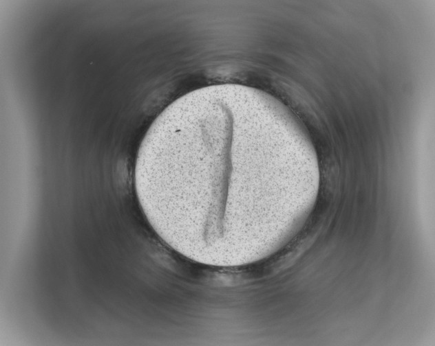 X0000111040420200907231539