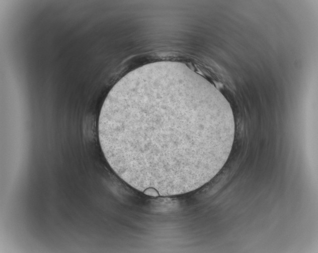 X0000111040421200907231539