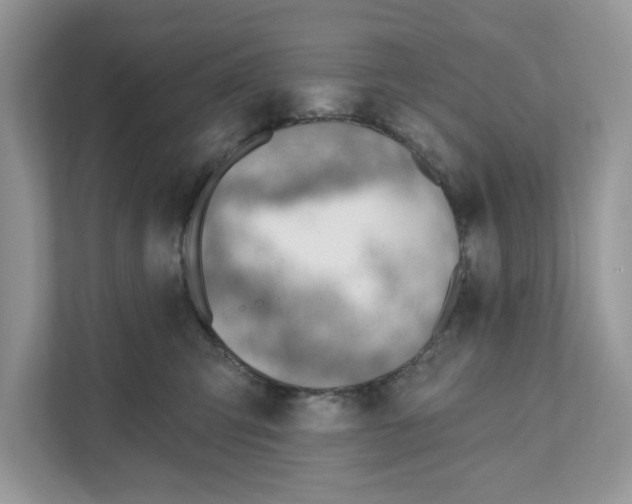 X0000111040423200907231539