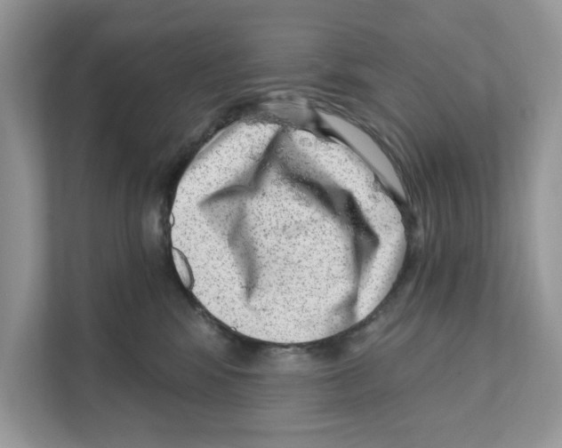 X0000111040424200907231539