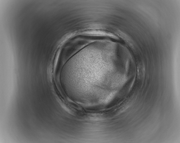 X0000111040436200907231539