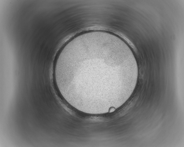 X0000111040437200907231539