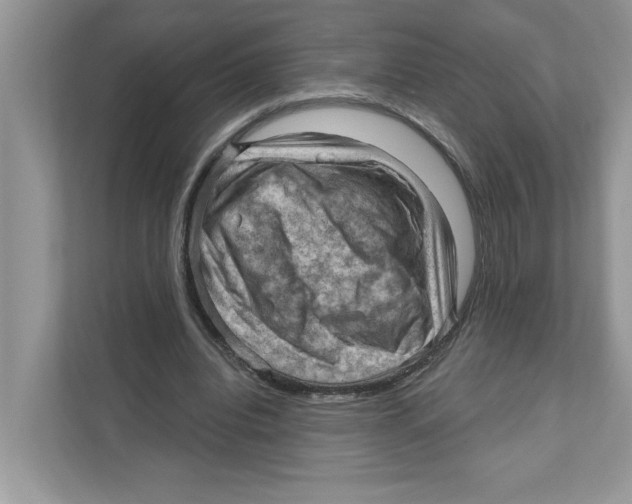 X0000111040440200907231539