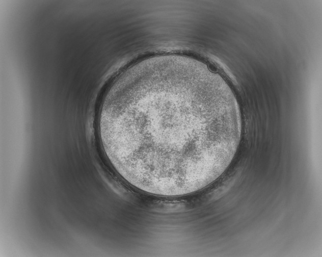 X0000111040443200907231539