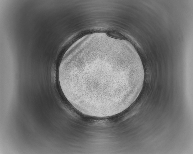 X0000111040446200907231539