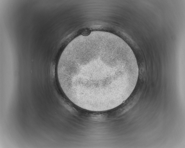 X0000111040454200907231539