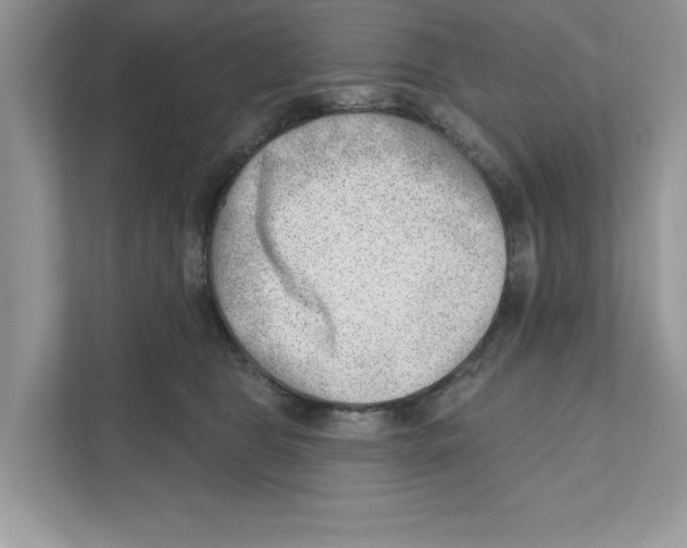 X0000111040469200907231539