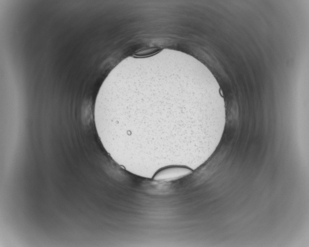 X0000111040478200907231539