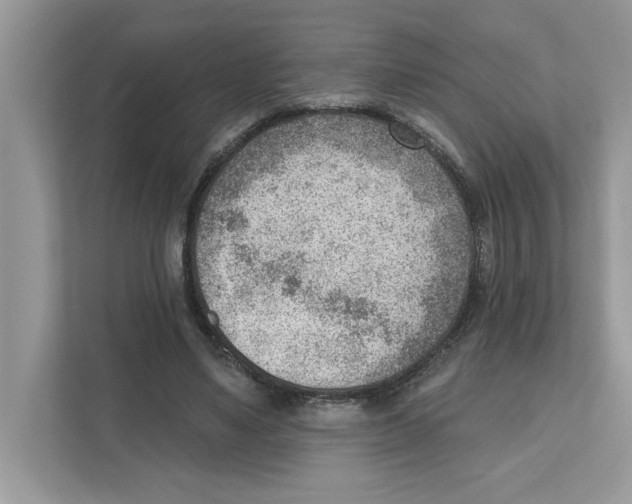 X0000111040491200907231538