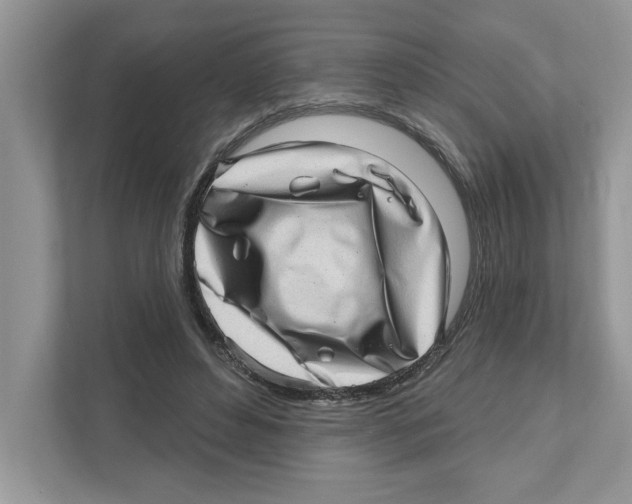 X0000111040496200907231538